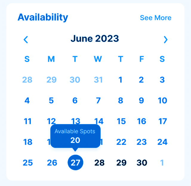 Calendar showing availability and booking management
